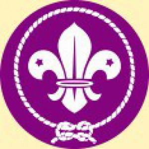 wosm.jpg